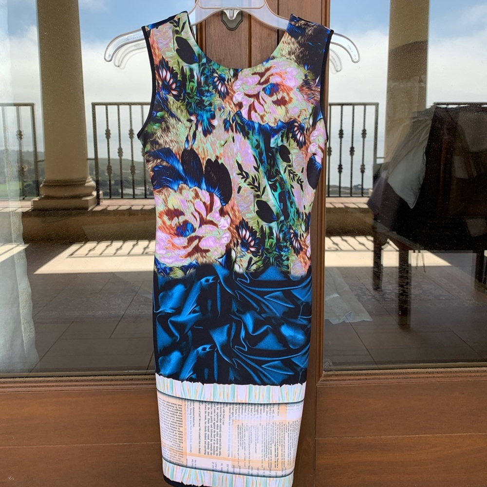 Clover Canyon dress